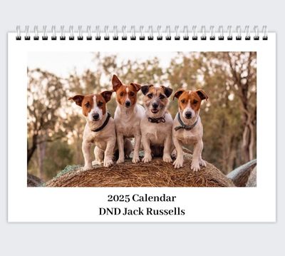 2025 DND Jack Russell Photo Calendar