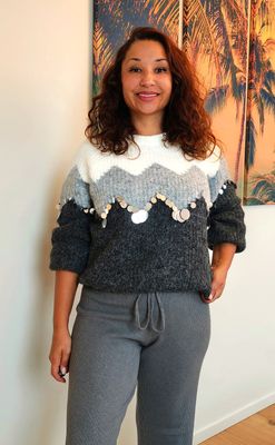 Pull Alpine pailleté gris/beige