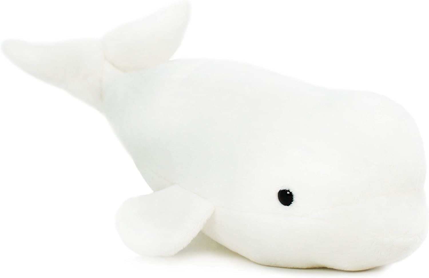 Billiam The Beluga