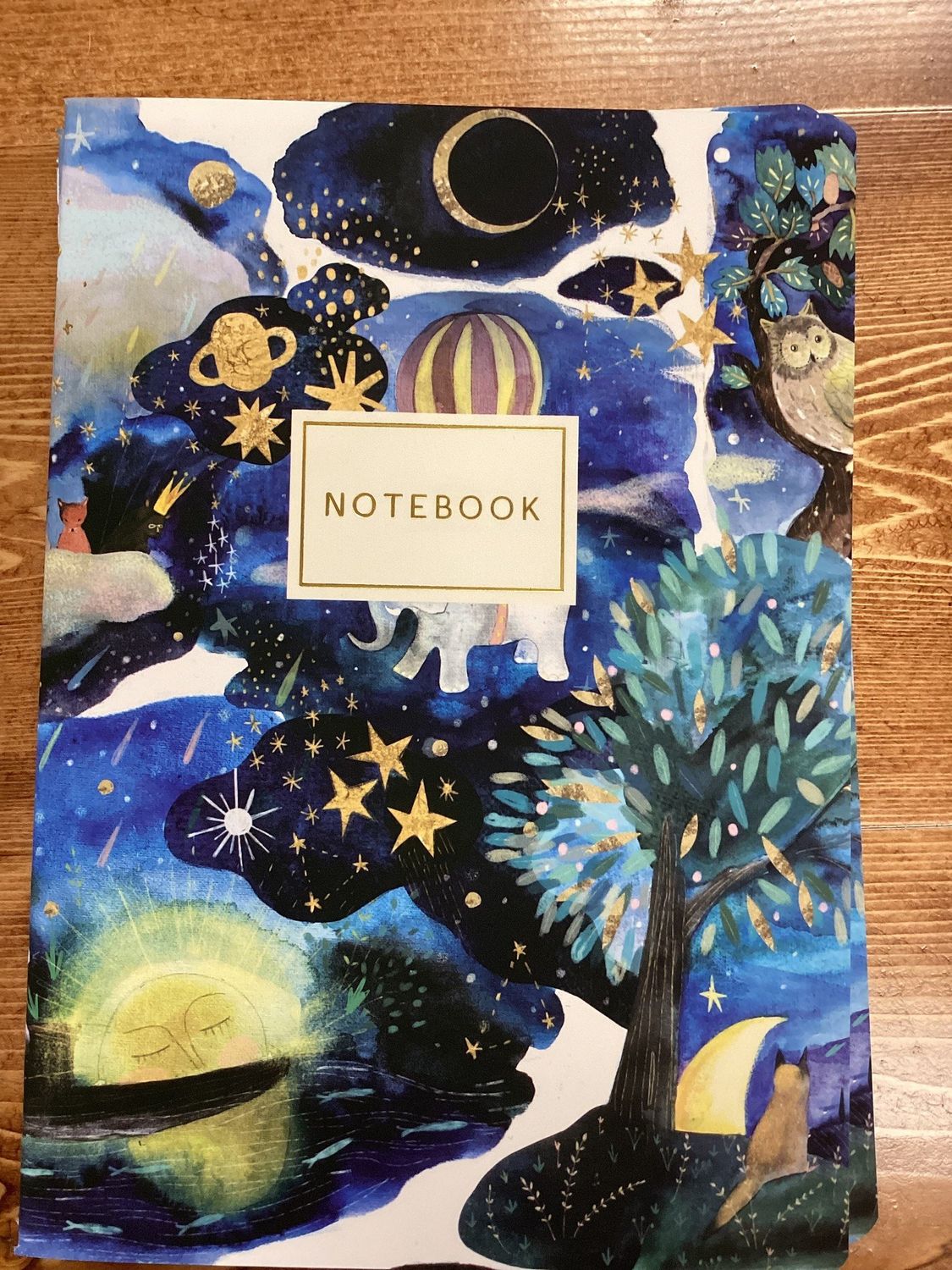Medium notebook/journal (Bruno Visconti)