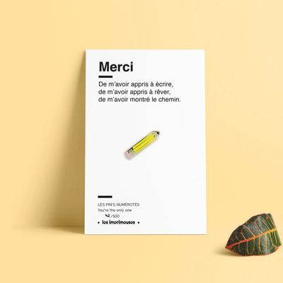 Pin&#39;s Maîtresse/Maître