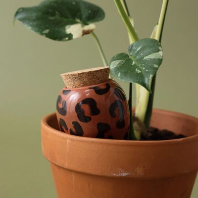 Plantes, pots &amp; entretien