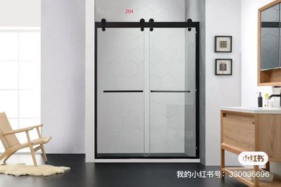 Glass Door Showers  Model 204