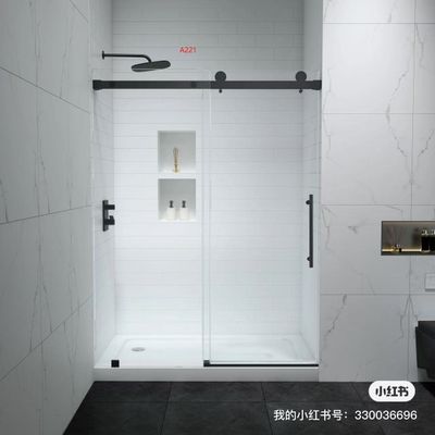 Glass Door Showers Model 222