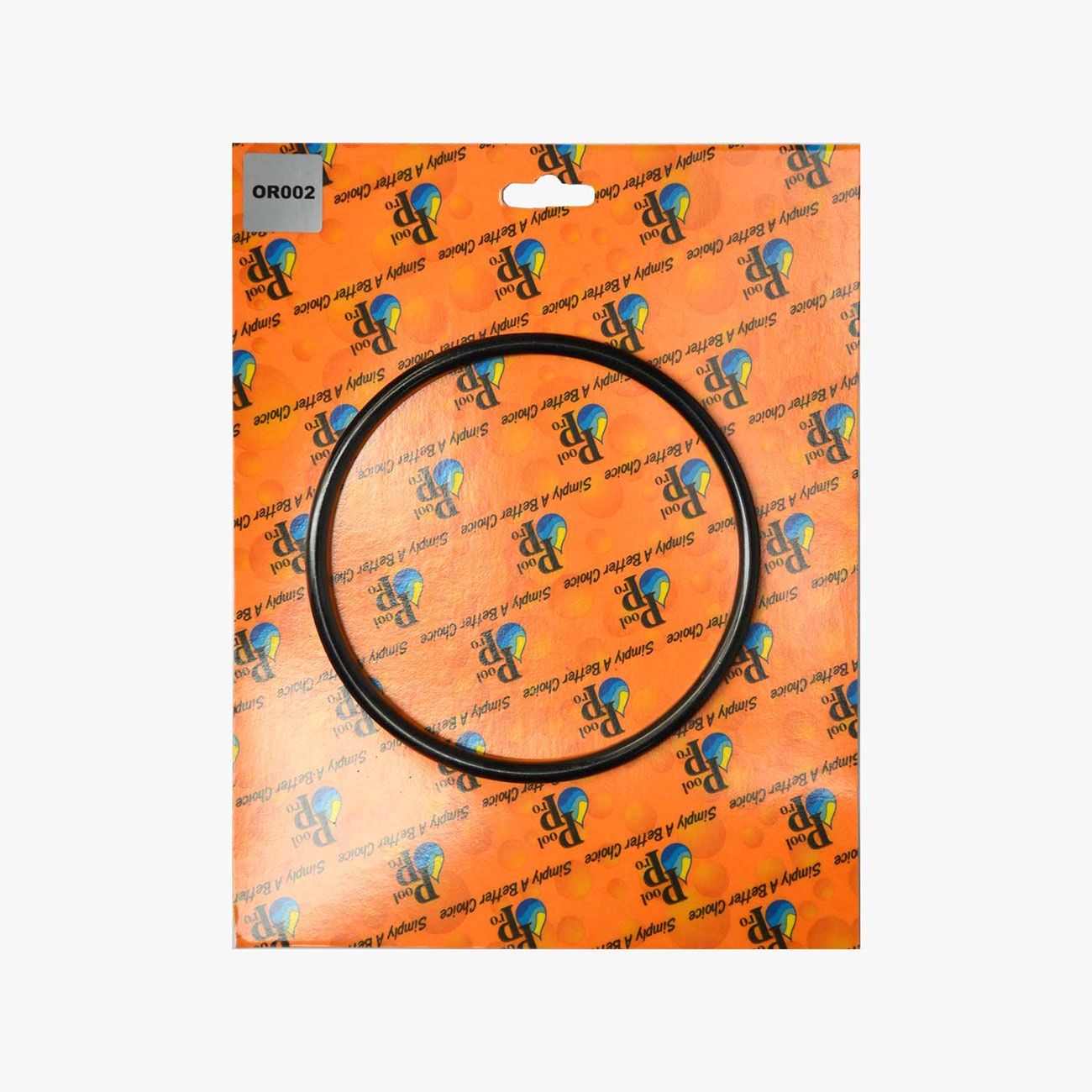 E-SERIES PUMP LID ASSY WITH ORING - Everclear Pools SA - Foto 12