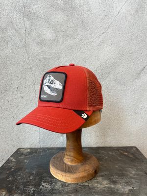 Goorin Extinct Skull ball cap