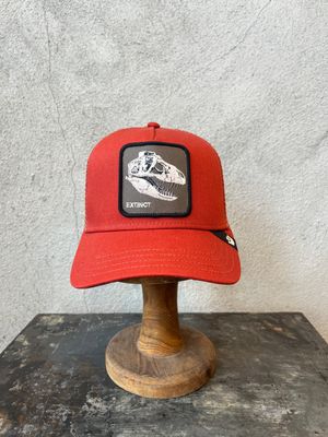Goorin Extinct Skull ball cap