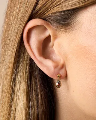 Lysea Brown Earrings