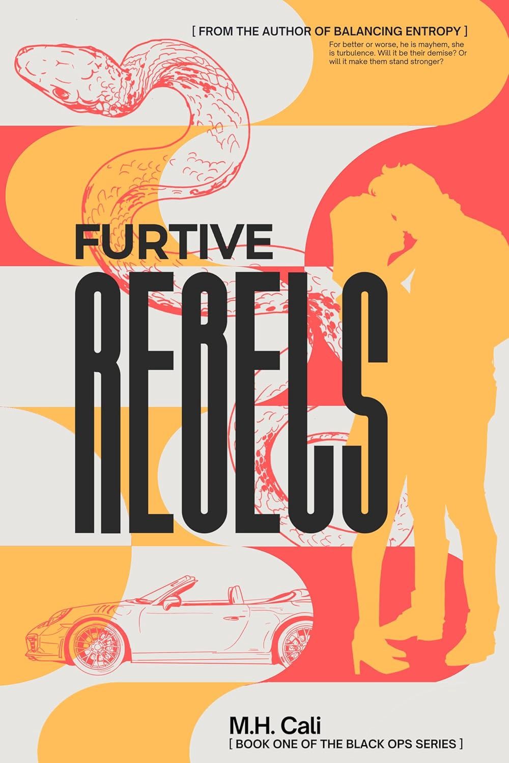 *Furtive Rebels