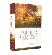 Amplified Bible-Am-Large Print: Captures the Full Meaning Behind the Original Greek and Hebrew - Large Print