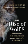 The Rise of Wolf 8: Witnessing the Triumph of Yellowstone&#39;s Underdog