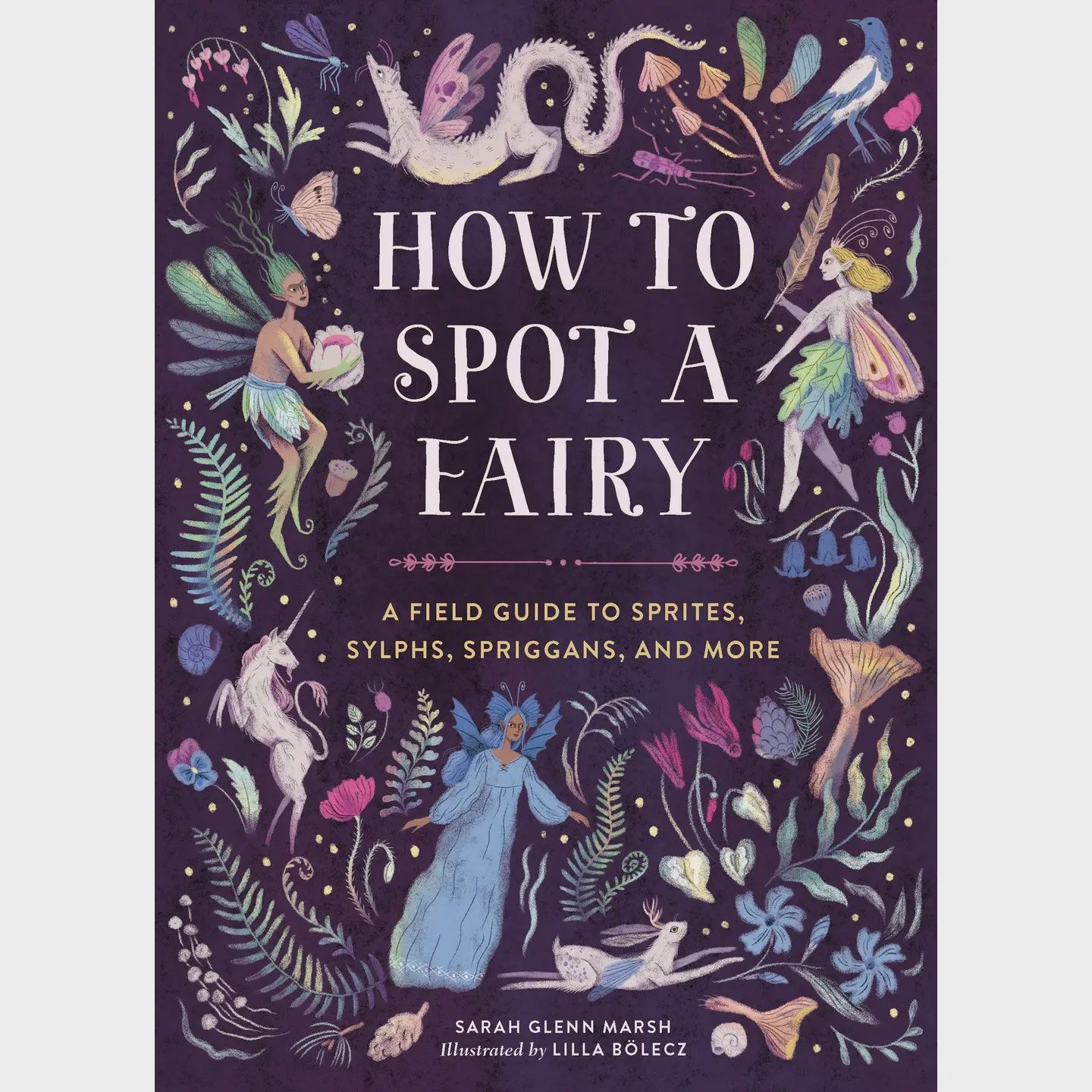 How To Spot A Fairy