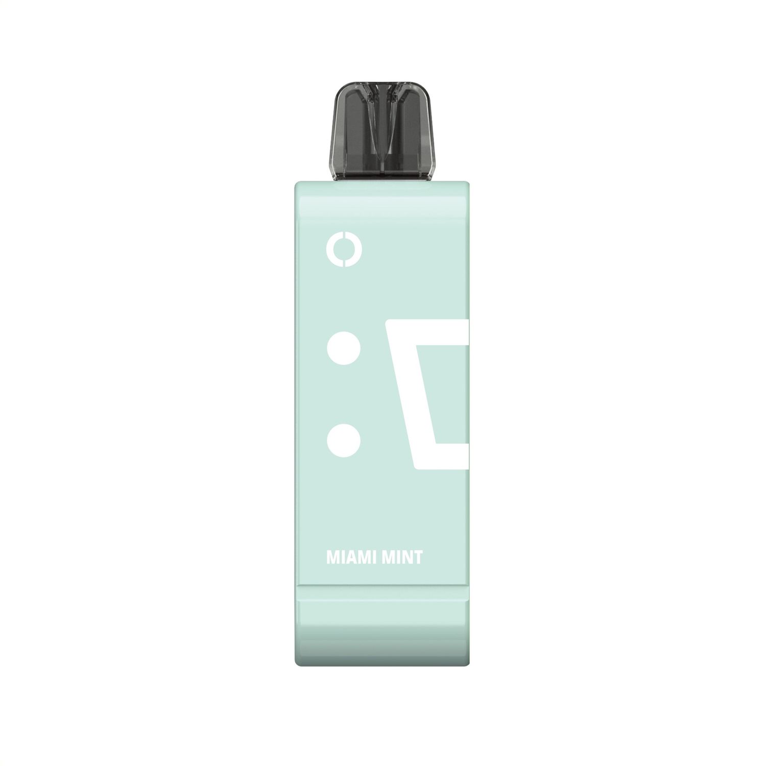 Elfbar Pod Ew9000 Miami Mint