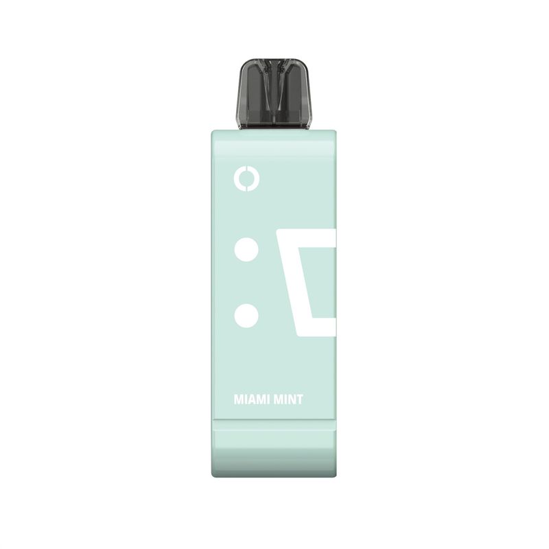 Elfbar Pod Ew9000 Miami Mint