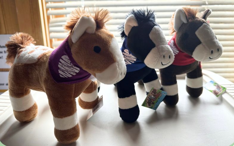 Show Ponies