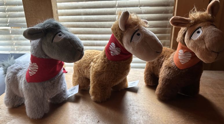 Louie The Llama