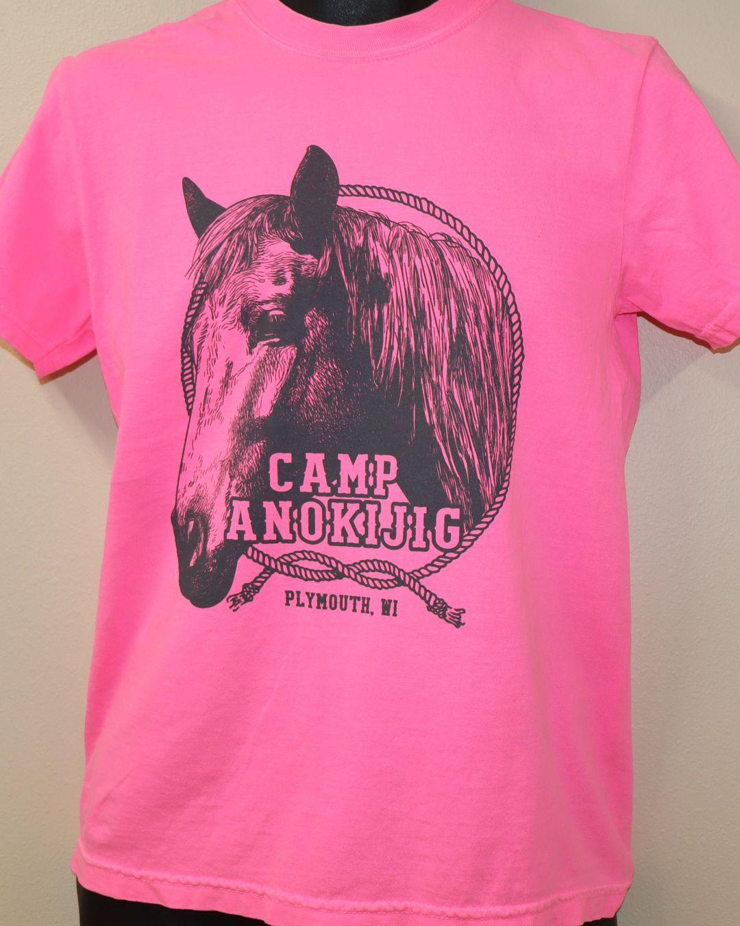 2025 Horse Tee