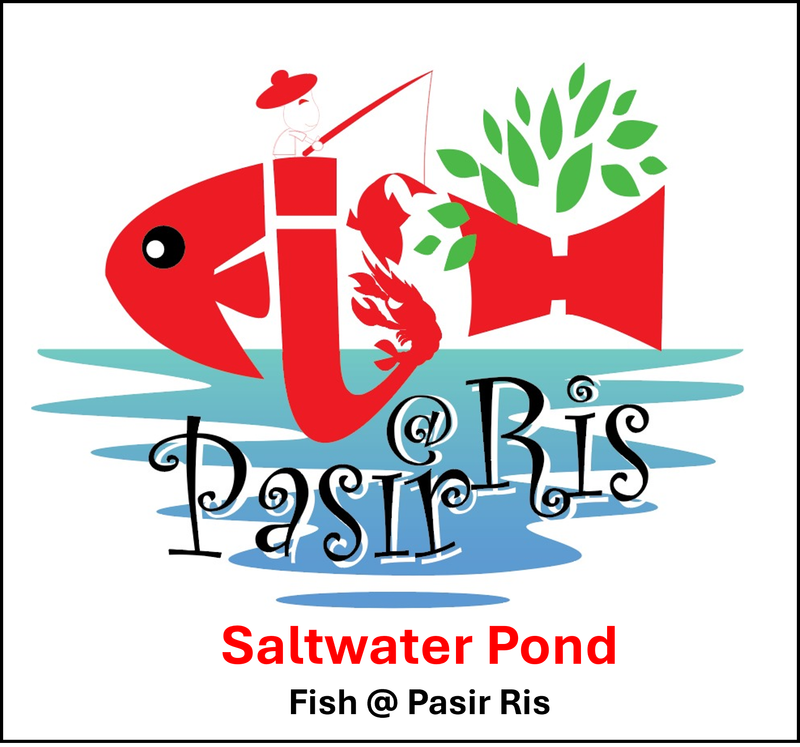 Fish @ Pasir Ris | Saltwater Pond