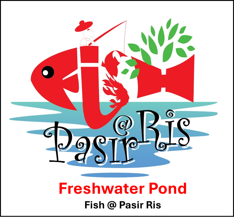 Fish @ Pasir Ris | Freshwater Pond