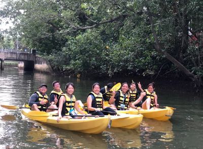 Mangrove Kayaking @ Tee Side Mangrove Kayaking @ Tee Side