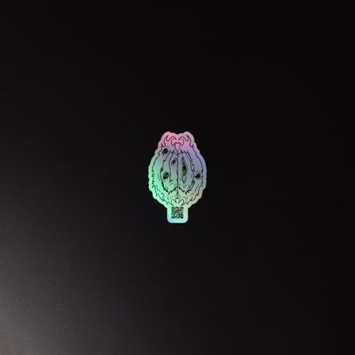 Lude QR Holographic stickers