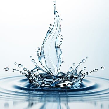 Cleanse