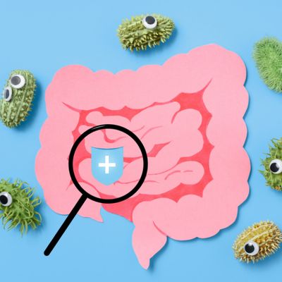 Digestion
