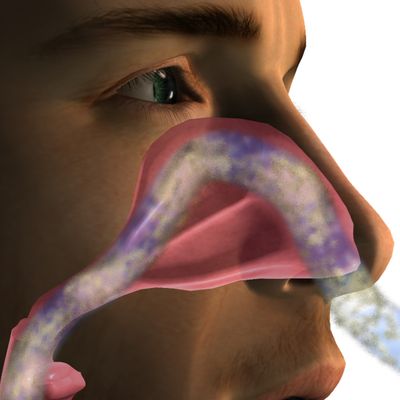Nasal Care