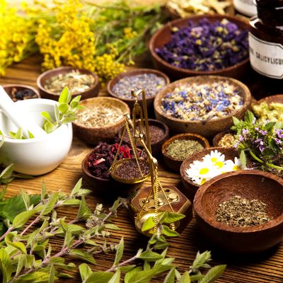 Medicinal Plants