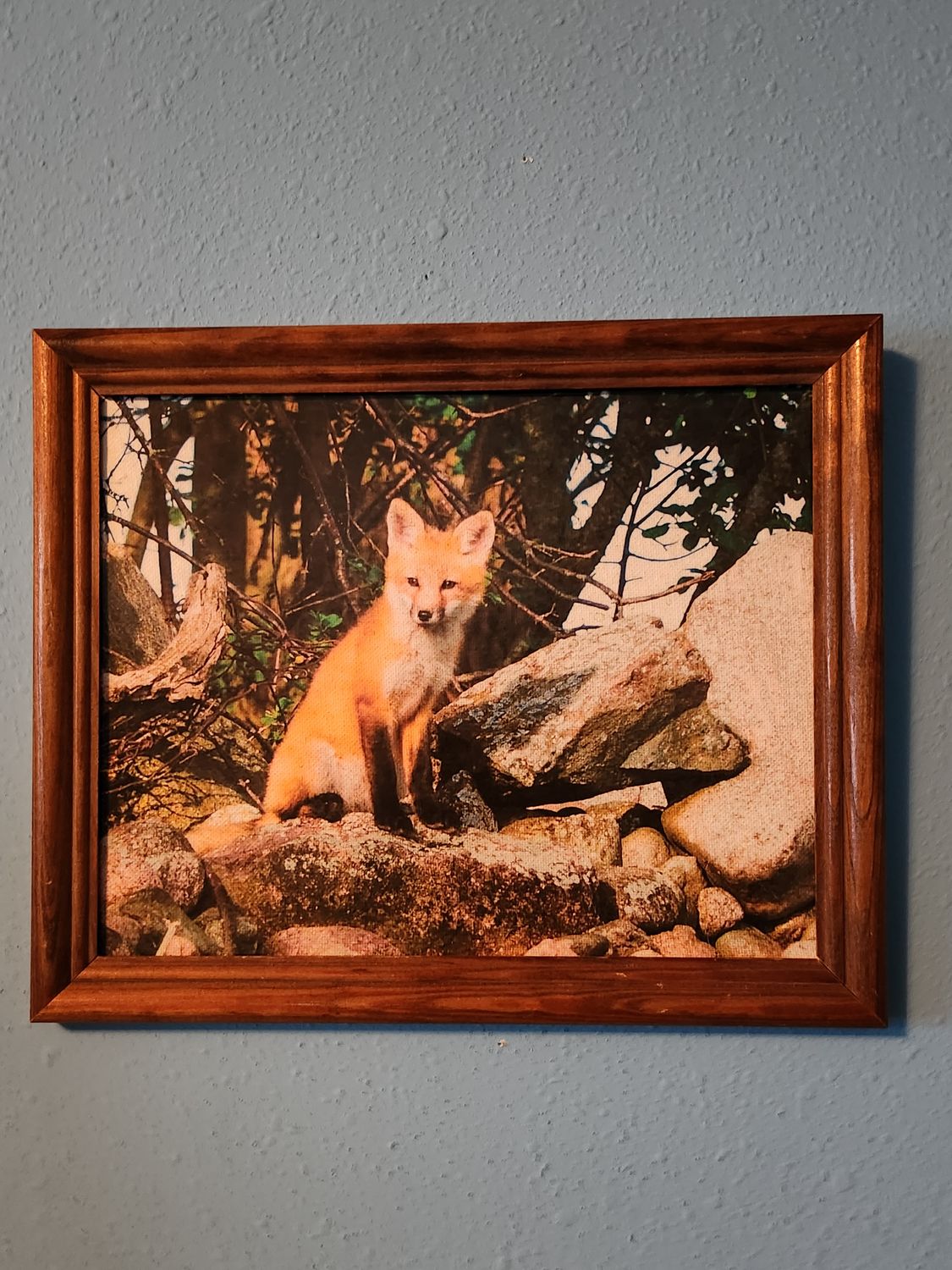 Photo on canvas