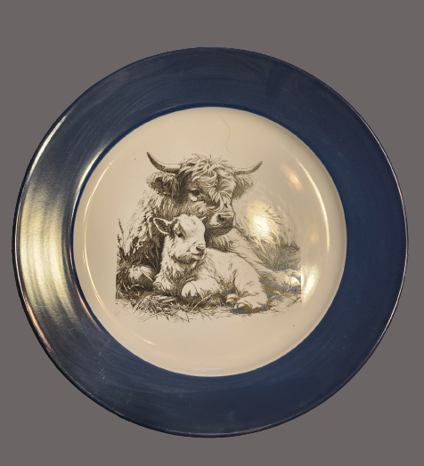 Laser engraved ceramic display plate
