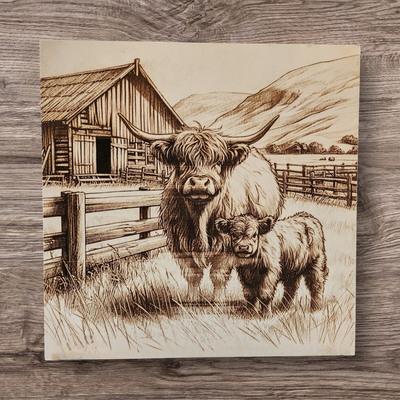 Highland cuteness