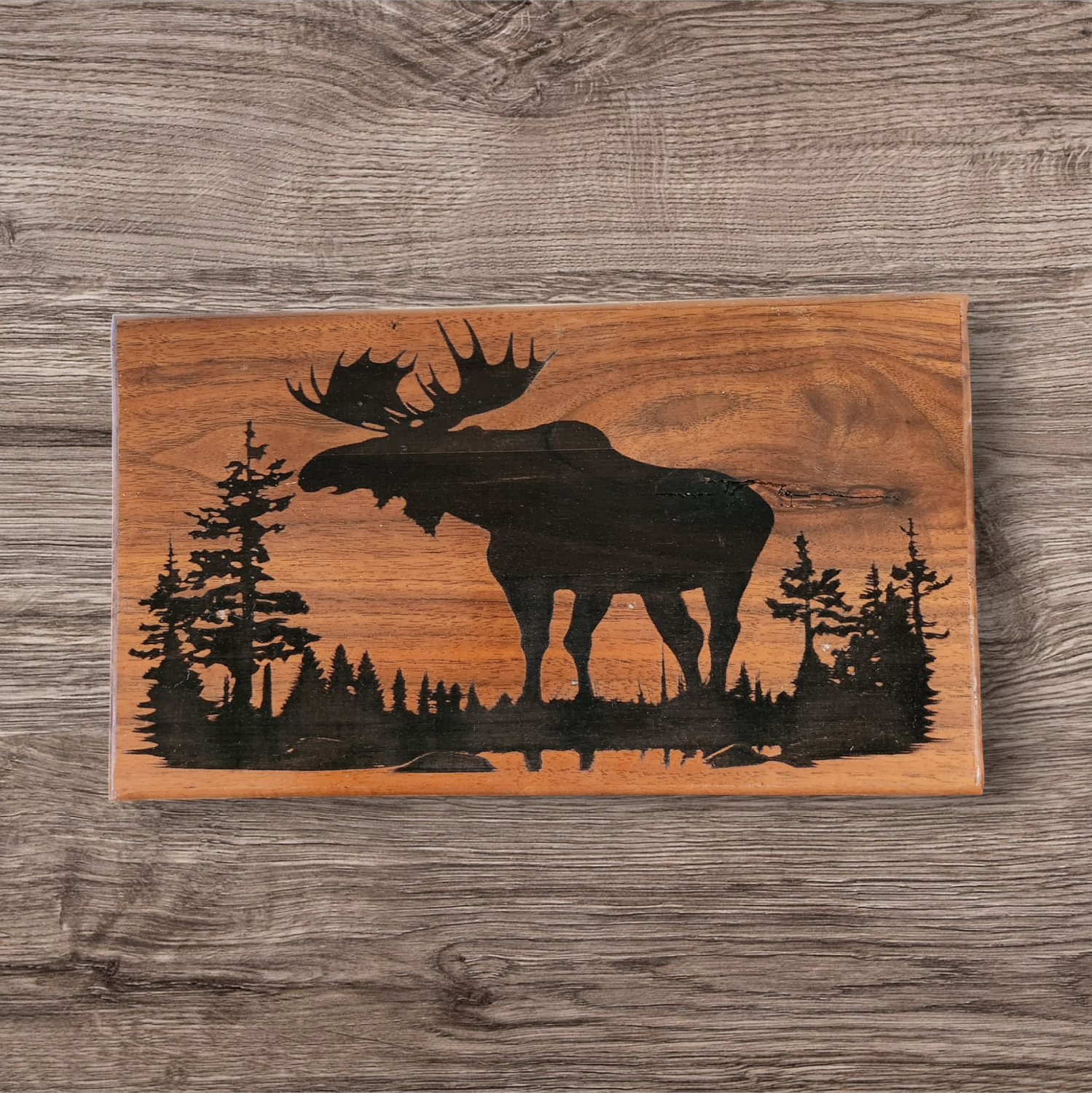 Moose