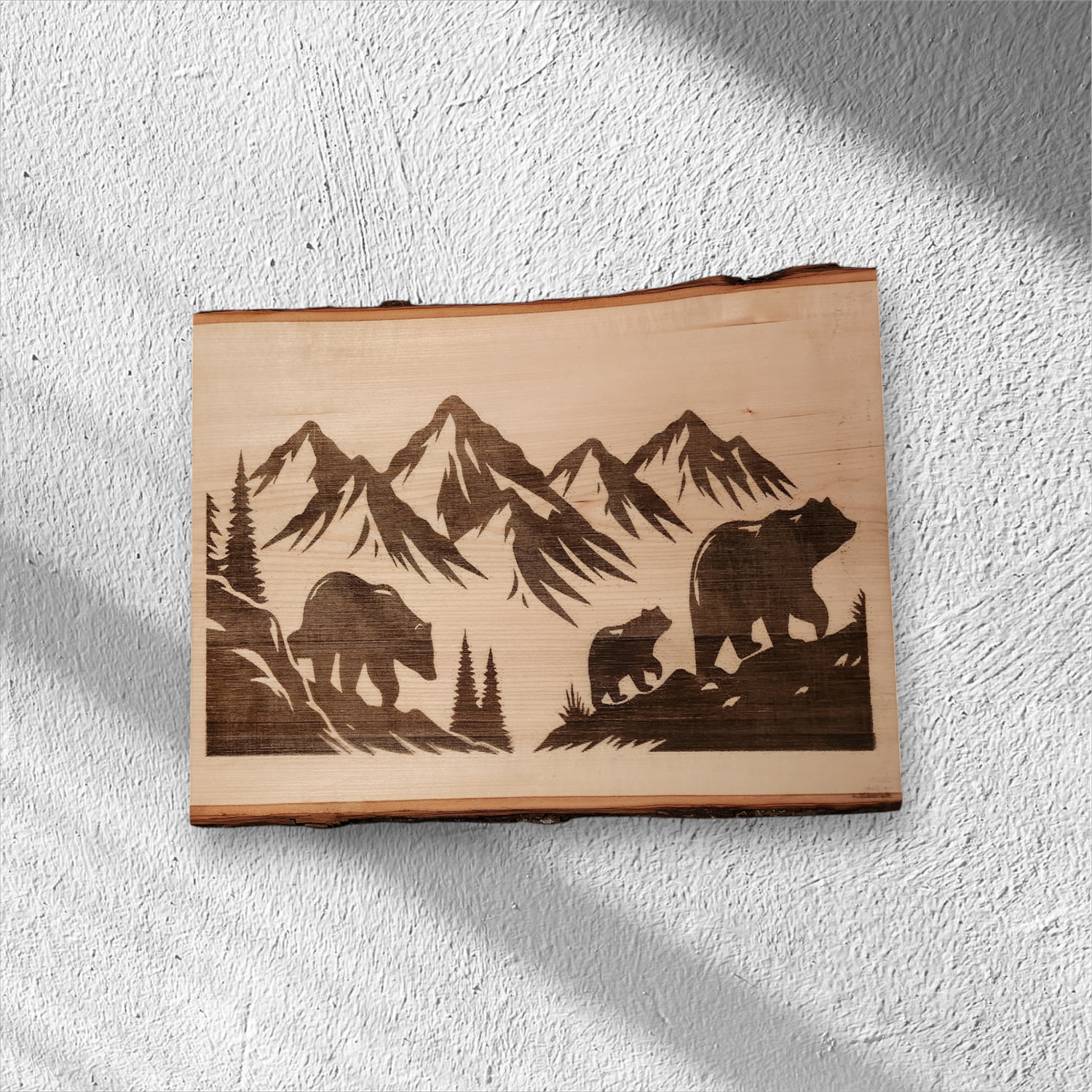 Bears