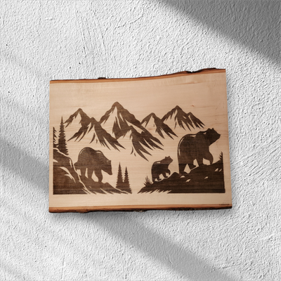 Bears