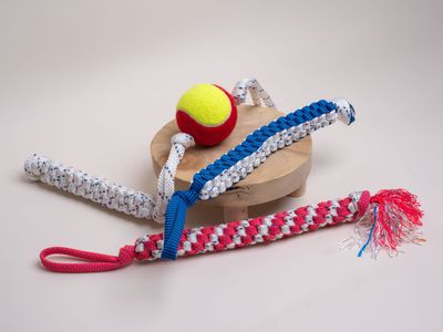 Box de jouet para corde