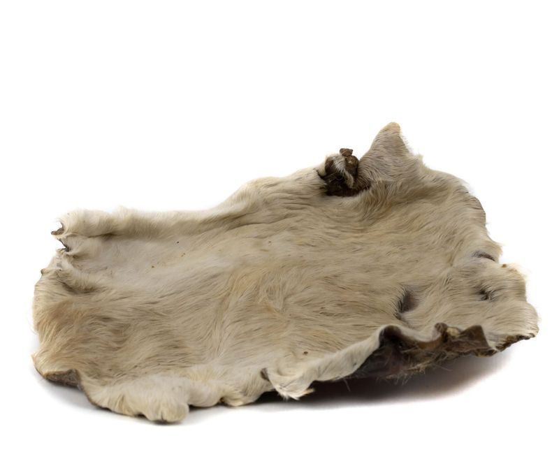 Plaque de peau de bœuf avec poil