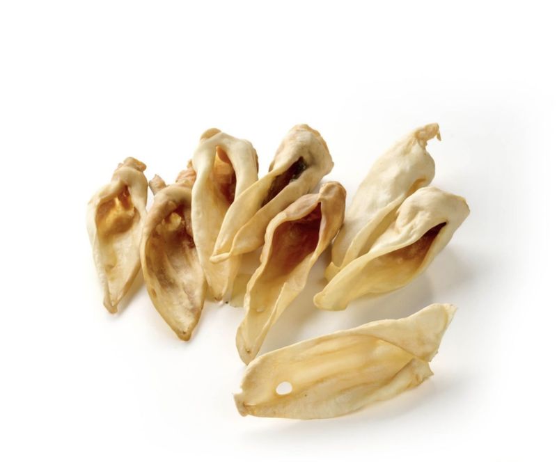 Oreille de chèvre sans poil