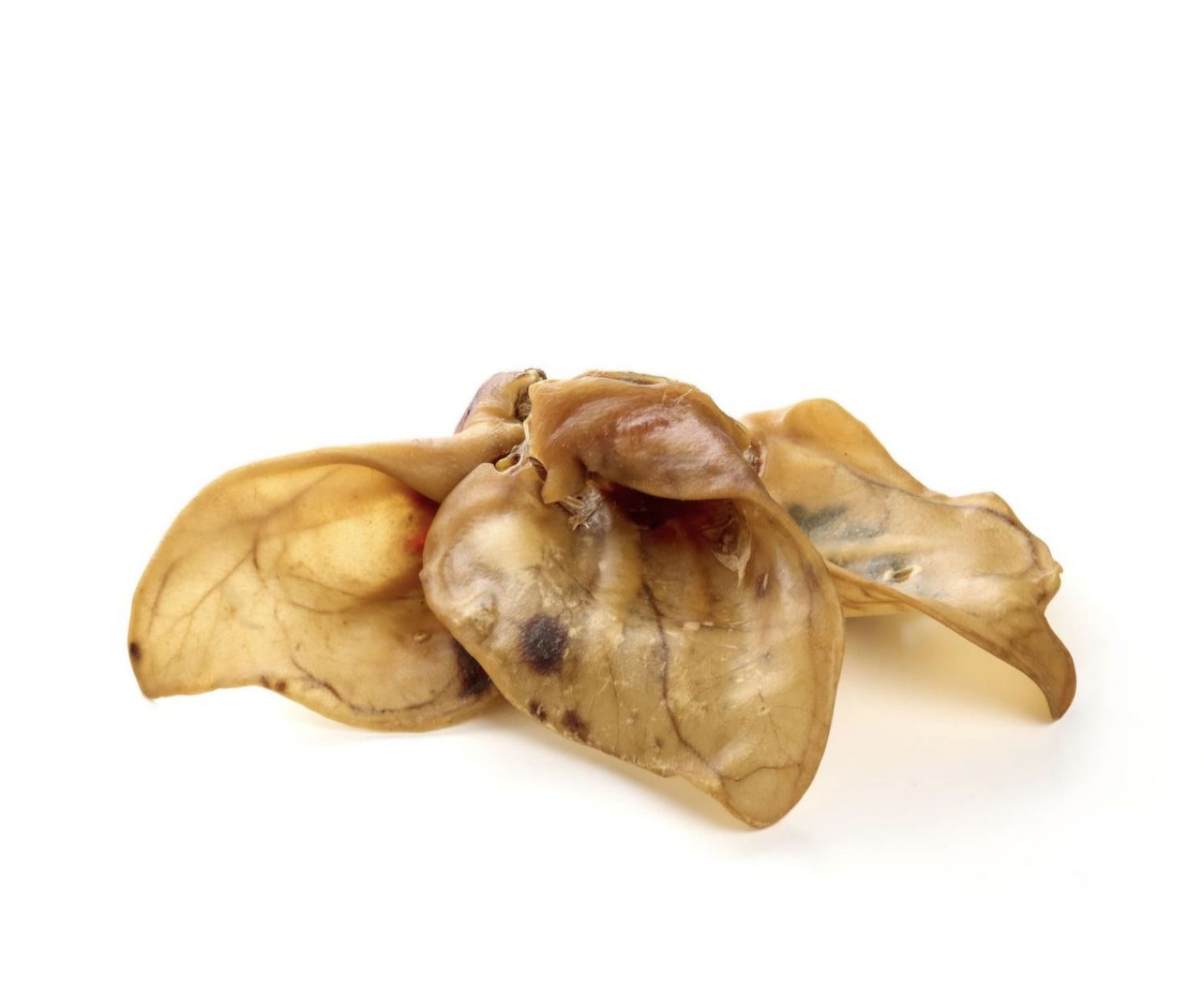 Oreille de porc sans poil XXL