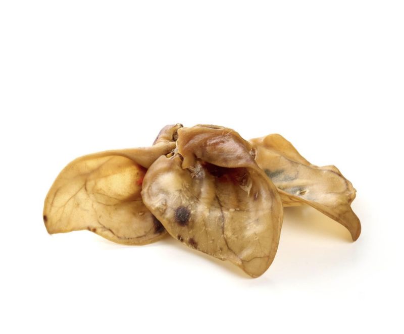 Oreille de porc sans poil XXL
