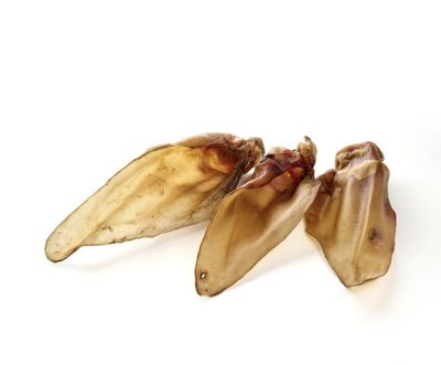 Oreille de bœuf sans poil