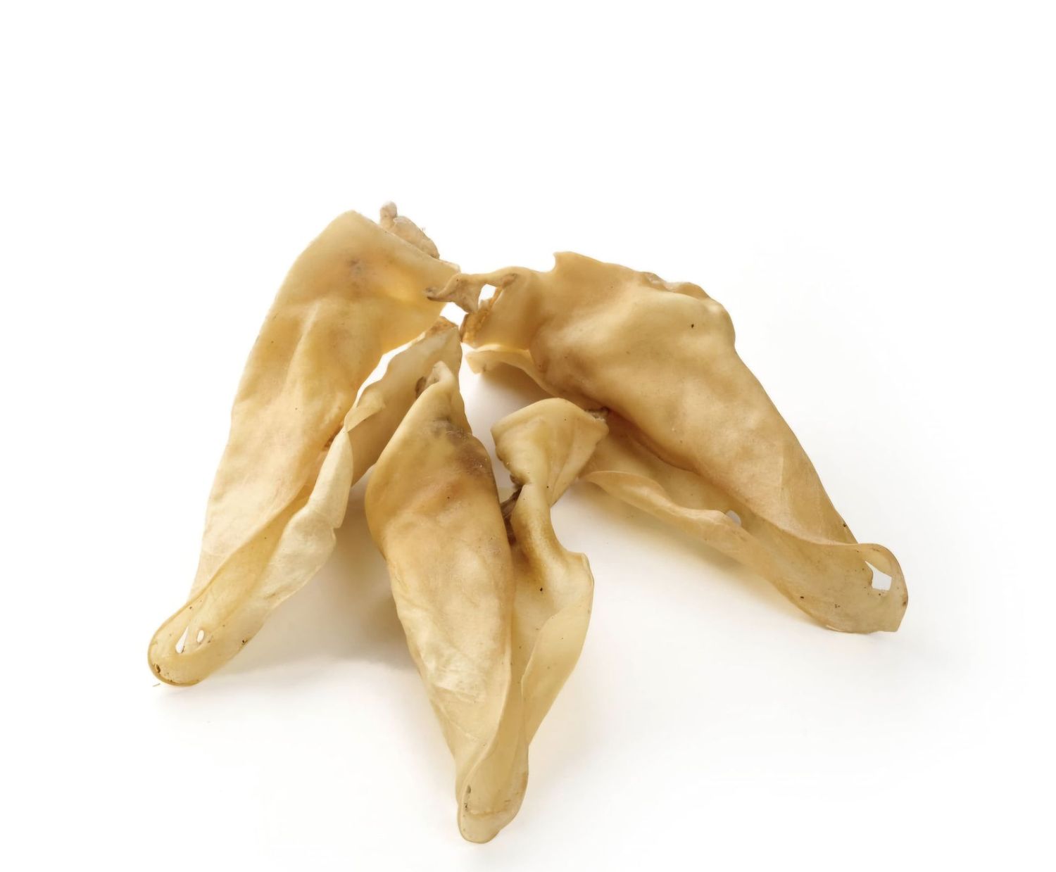 Oreille de bœuf blanche