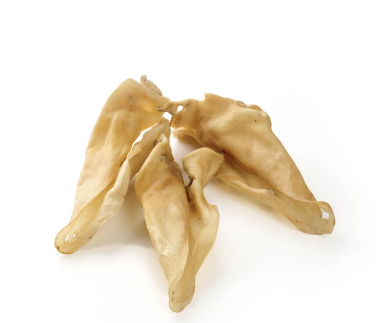 Oreille de bœuf blanche