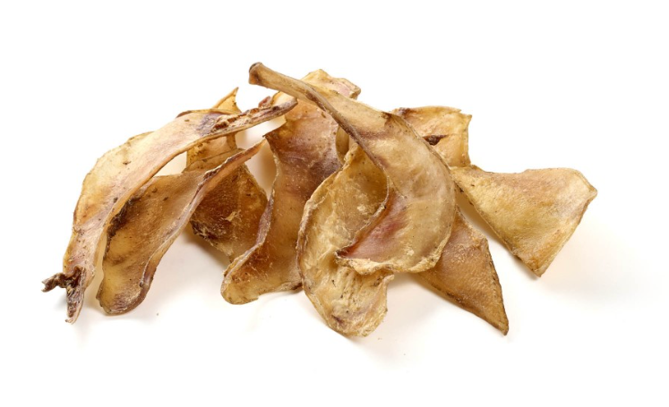 Omoplate de biche Mini