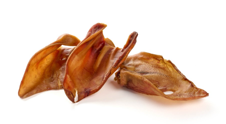 Oreille de porc sans poil