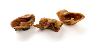 Petite oreille de porc sans poil