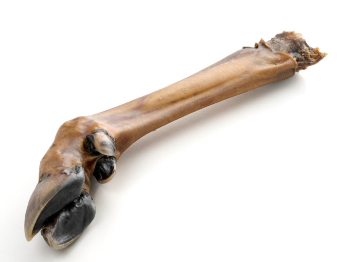 Bas de Patte de Cerf sans Poils