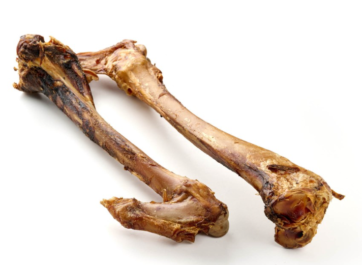 Fémur Arrière de Cerf