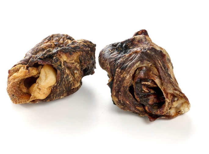Larynx de bœuf