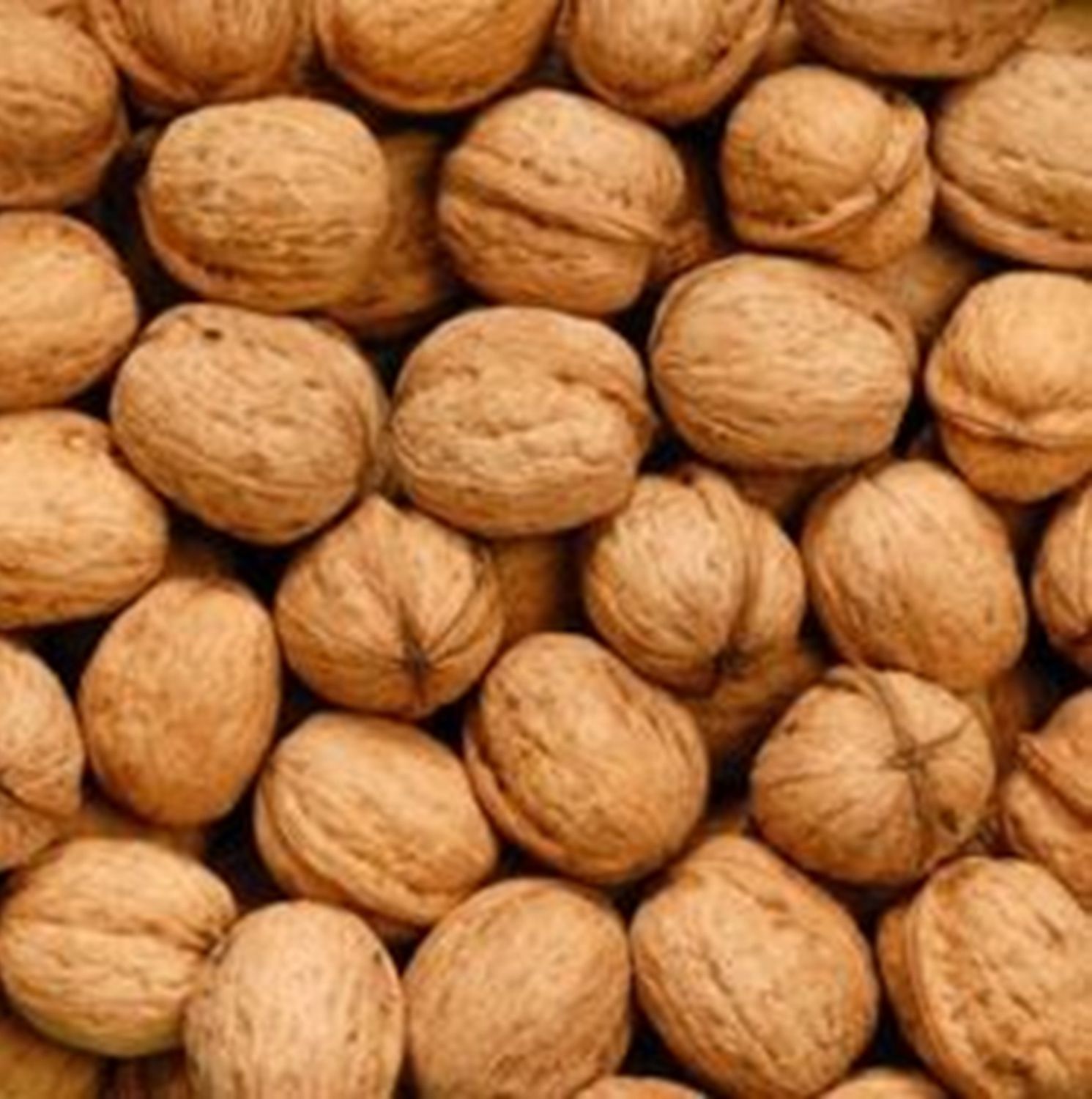WALNUTS USDA FOODS 16 ONZAS NUECES CON CASCARA ORGANICA